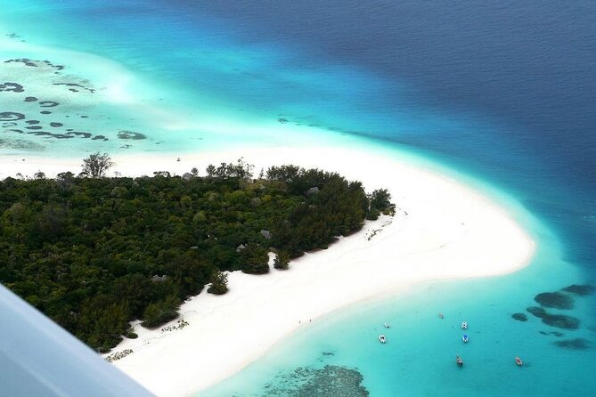 A Half Day Private Dolphins And Snorkeling Tour To Mnemba Island - Cancellation Policy