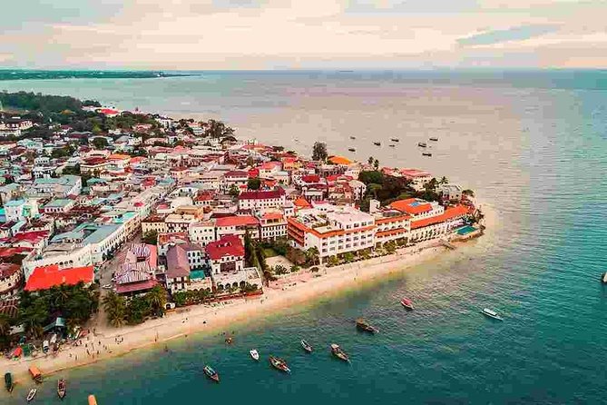 A Half Day Private Stone Town Tour - Accessibility