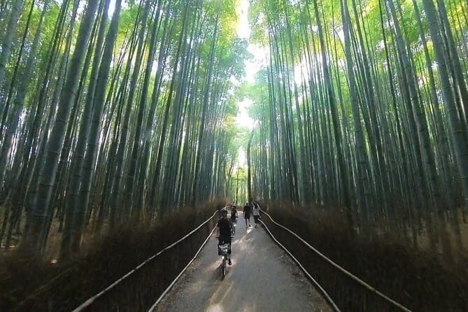 A Hidden Gem Away From the Crowds: E-Bike Tour in Arashiyama - Exploring Kyotos Bamboo Forest by E-Bike