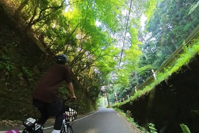 A Hidden Gem Away From the Crowds: E-Bike Tour in Arashiyama - Navigating the Scenic Paths of Arashiyama