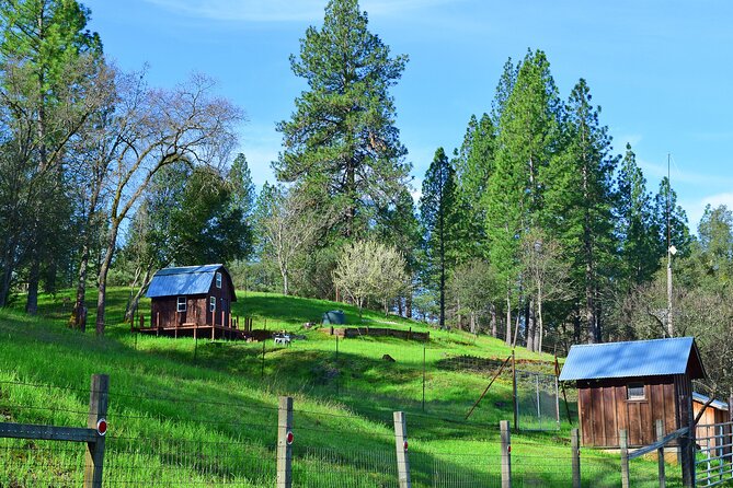 A Highway 49 Drive: a Self-Guided Audio Tour From Placerville to Jackson - Scenic Drive Along Highway 49