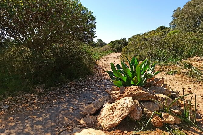 A Hike to the Devils Saddle - Exploring Calamosca Lighthouse