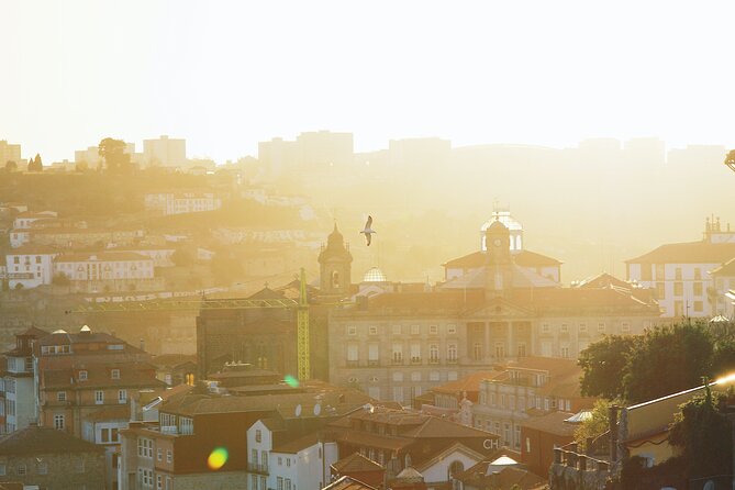 A Historical Treasure With Palácio Da Bolsa & Cruise - Tour Schedule and Details