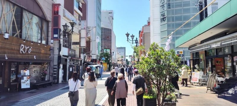 A History of Castles and Shoguns in Odawara - Panoramic Views From Tenshukaku