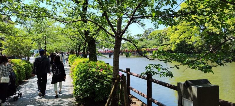 A History of Castles and Shoguns in Odawara - Inclusions and Exclusions of the Tour