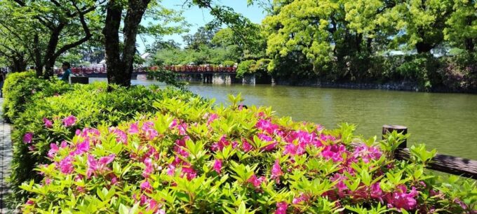 A History of Castles and Shoguns in Odawara - Accessibility and Packing Considerations