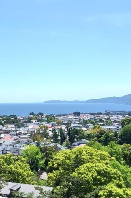 A History of Castles and Shoguns in Odawara - Cancellation and Refund Policy