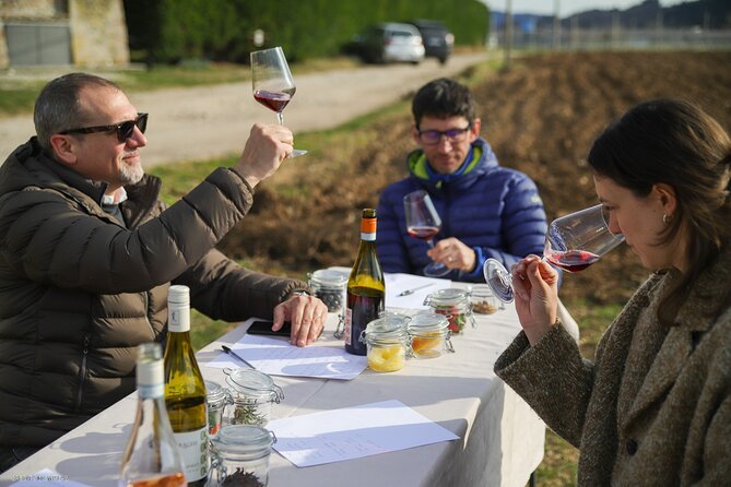 A Journey Into Wine's Tastes and Aromas - Savoring Venetos Culinary Delights