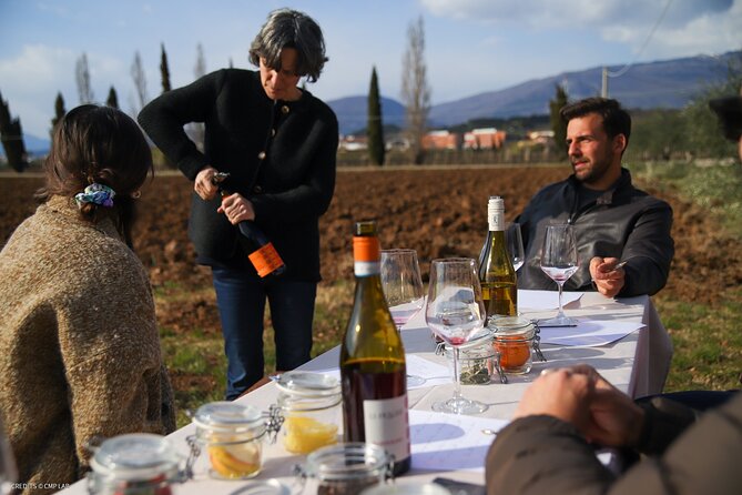 A Journey Into Wine's Tastes and Aromas - Tasting Notes and Aromas