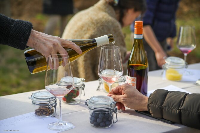A Journey Into Wine's Tastes and Aromas - Booking and Cancellation Policies
