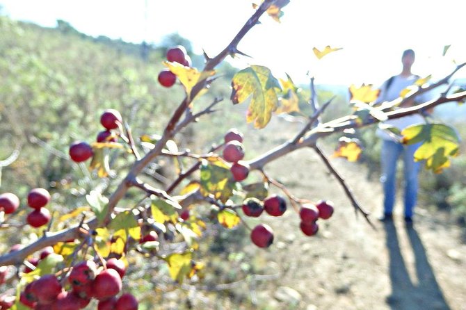 A Journey Through the Forgotten Sierra ... - Serra De Brasfemes, Coimbra - Outdoor Activities and Adventure Awaits