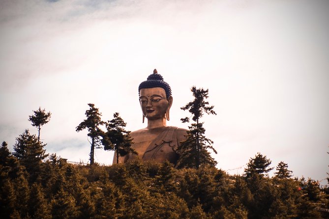 A Journey to the Center of Bhutan in 14 Days - Wildlife and Nature in Bhutan