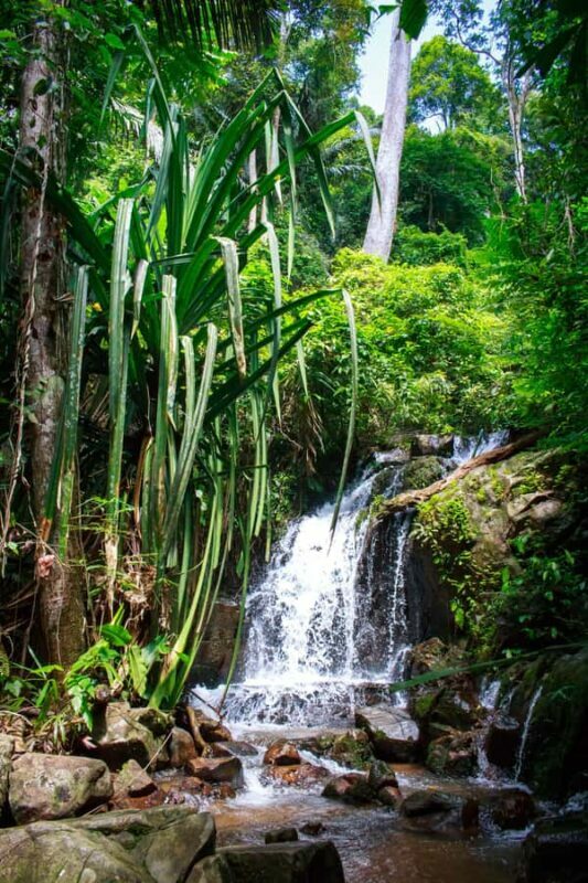 A Jungle-to-Sea Kayaking & Trekking Adventure in Phuket - A Jungle-to-Sea Kayaking & Trekking Adventure in Phuket