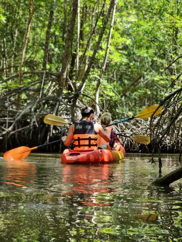 A Jungle-to-Sea Kayaking & Trekking Adventure in Phuket - Authentic Experiences and Genuine Encounters