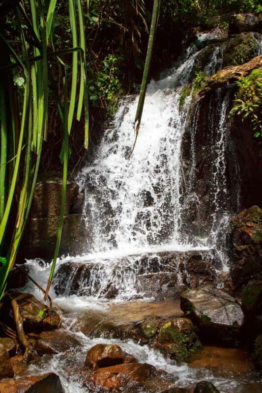 A Jungle-to-Sea Kayaking & Trekking Adventure in Phuket - The Sum Up