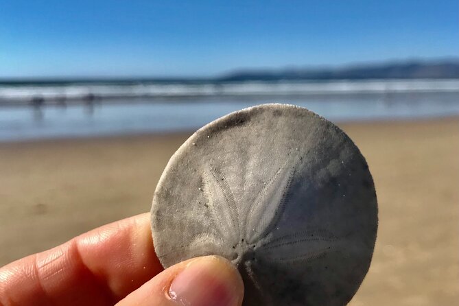 A La La Tour - Private Tour of Californias Central Coast - Booking Information