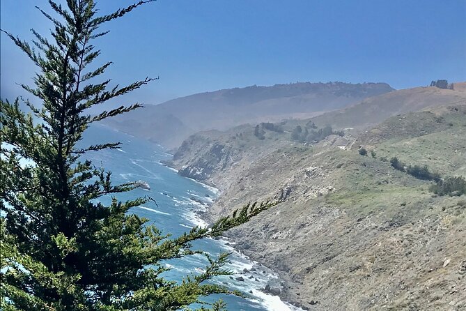 A La La Tour - Private Tour of Californias Central Coast - Wine Tasting Options