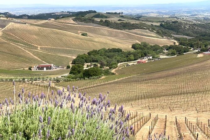 A La La Tour - Private Tour of Californias Central Coast - Scenic Destinations