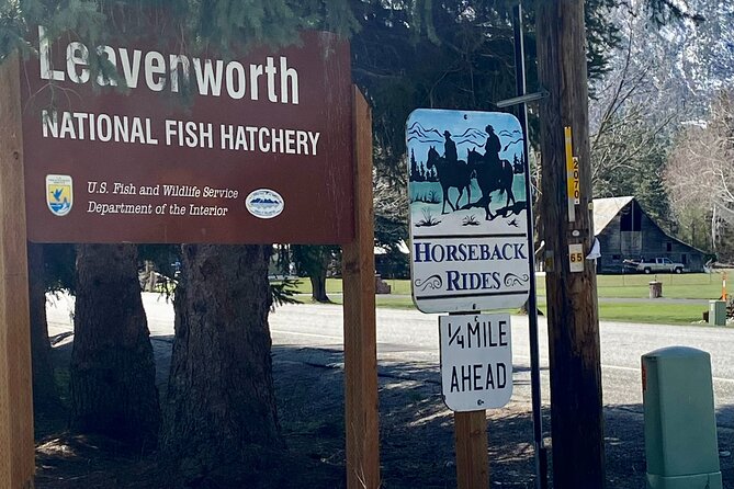 A Leavenworth Scenic Drive: A Self-Guided Audio Tour - Feedback and Reviews