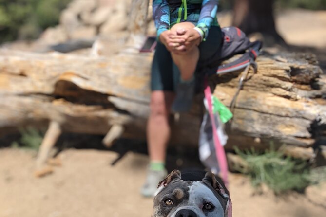A Locals Favorite Hike in Big Bear With Lake Swimming Experience - Inclusions and Amenities