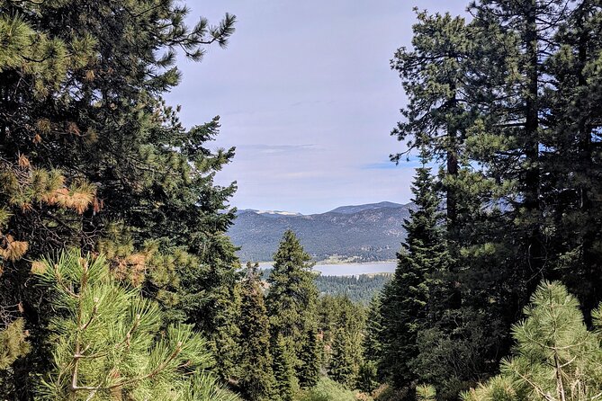 A Locals Favorite Hike in Big Bear With Lake Swimming Experience - Activity Schedule