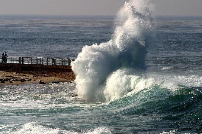 A Local's Guide to La Jolla's Sights: A Self-Guided Urban Stroll - Enjoying Coastal Vistas