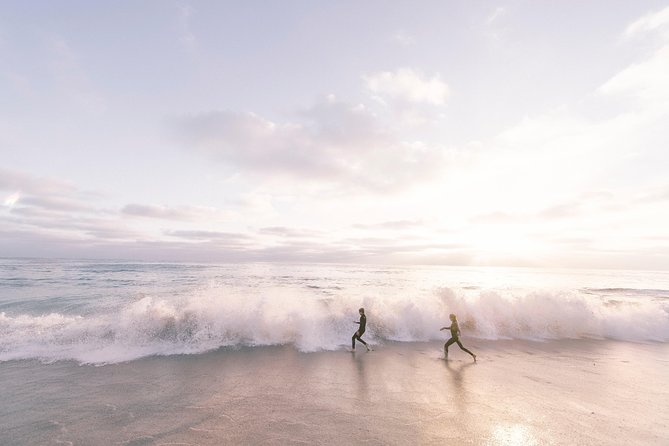 A Local's Guide to La Jolla's Sights: A Self-Guided Urban Stroll - Tour Accessibility and Transportation