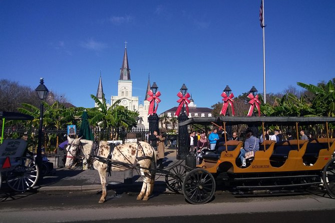 A Locals Private French Quarter Walking or Biking Tour - Private Tour for Personal Attention
