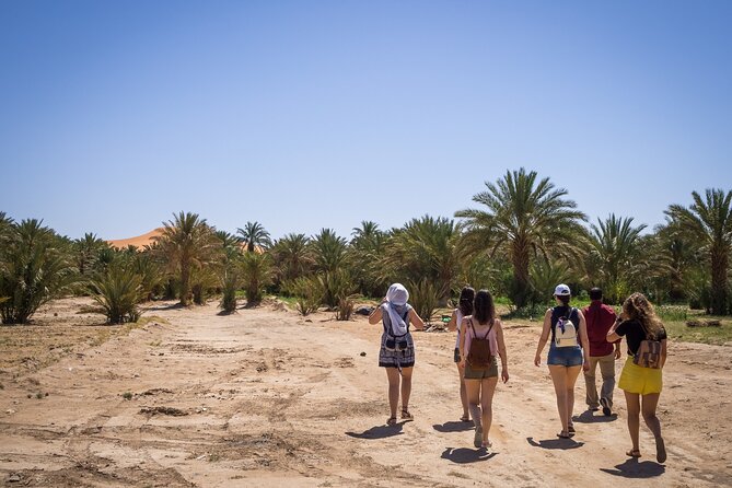 A Lovely Night Desert Camp & Camel Trekking (3 Days / 2 Nights ) - Camel Rides and Activities