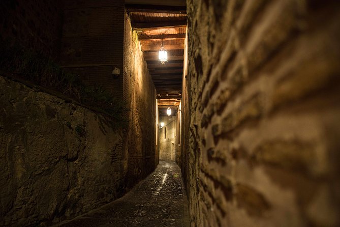 A Magical Toledo Night - Accessibility and Restrictions