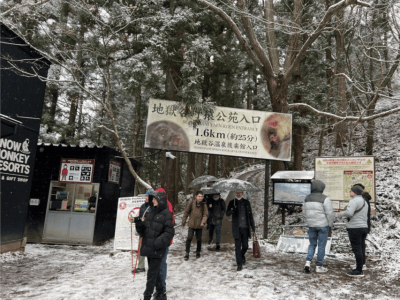 A Memorabele Snow Monkey Park & Zenkoji Temple Private Tour - Historical and Cultural Significance