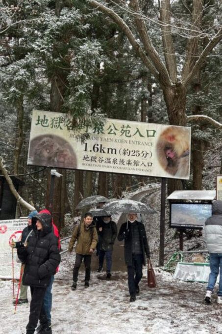A Memorabele Snow Monkey Park & Zenkoji Temple Private Tour - Requirements and Recommendations
