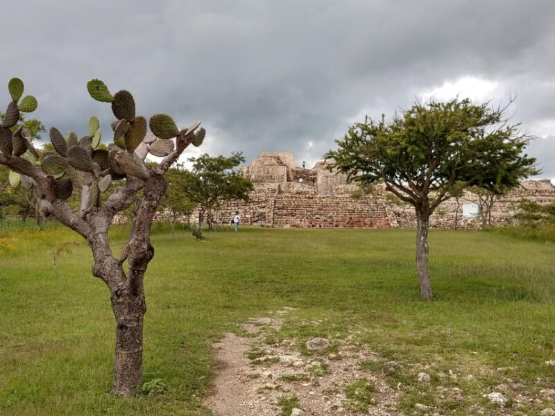 A NOT Crowded Tour to Cañada De La Virgen - Transportation and Inclusions