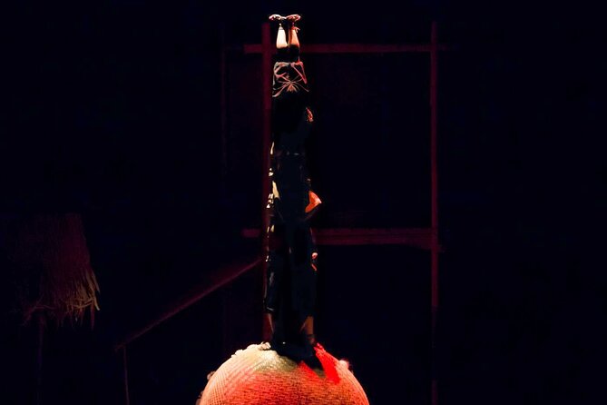 A O Show - Lune Production Included Pick Up And Drop Off - Confirmation and Accessibility Information