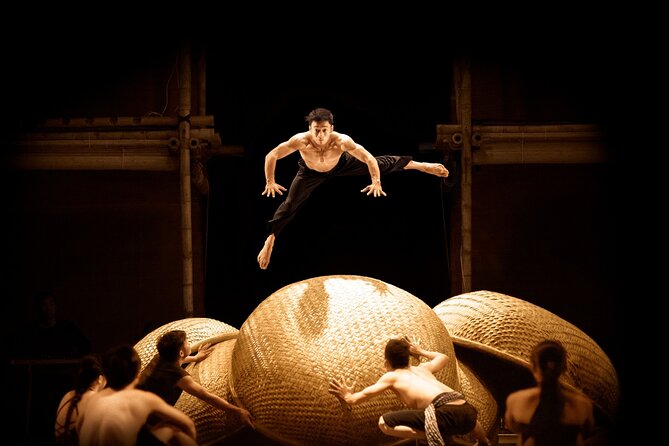 A O Show - Lune Production Included Pick Up And Drop Off - Expectations for the Performance