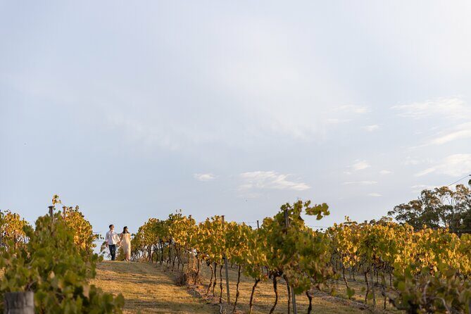A Petit Pairing Sirromet Winery Food and Wine Matching - Practical Details: What You Need to Know