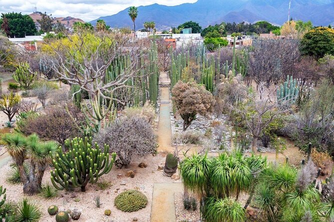 A Piece of Oaxaca: Guided Tour With Crafts Elaboration - Key Points