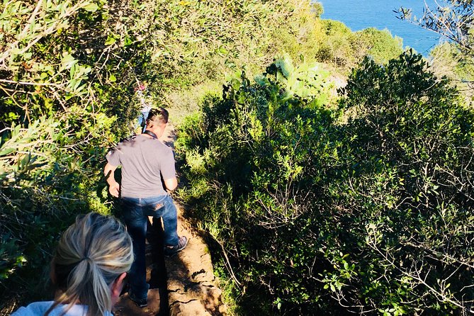A PRIVATE Afternoon South of Lisbon, Mountain WINES and SECRET Places! - Savor Regional Cheeses and Crackers