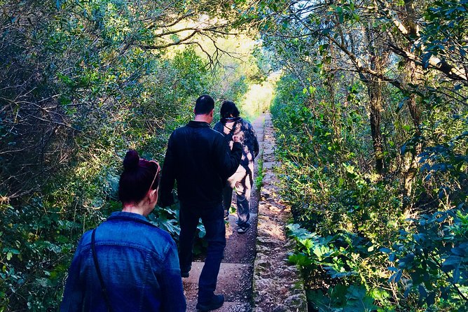 A PRIVATE Afternoon South of Lisbon, Mountain WINES and SECRET Places! - Pickup and Dropoff Locations