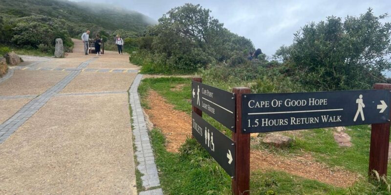 A Private Day Tour of Penguins, Cape Point & Table Mountain - Table Mountain Experience