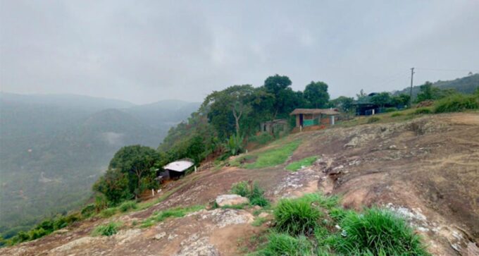 A Private Jeep Safari & Bullock Cart Ride From Thekkady - Private Group Experience