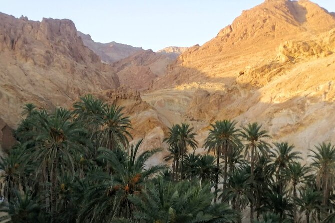 A Private Night at the Desert of Tozeur - Guest Reviews