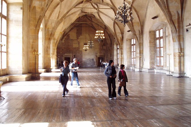A Private Prague Castle & Interior Tour - Accessibility and Health Requirements