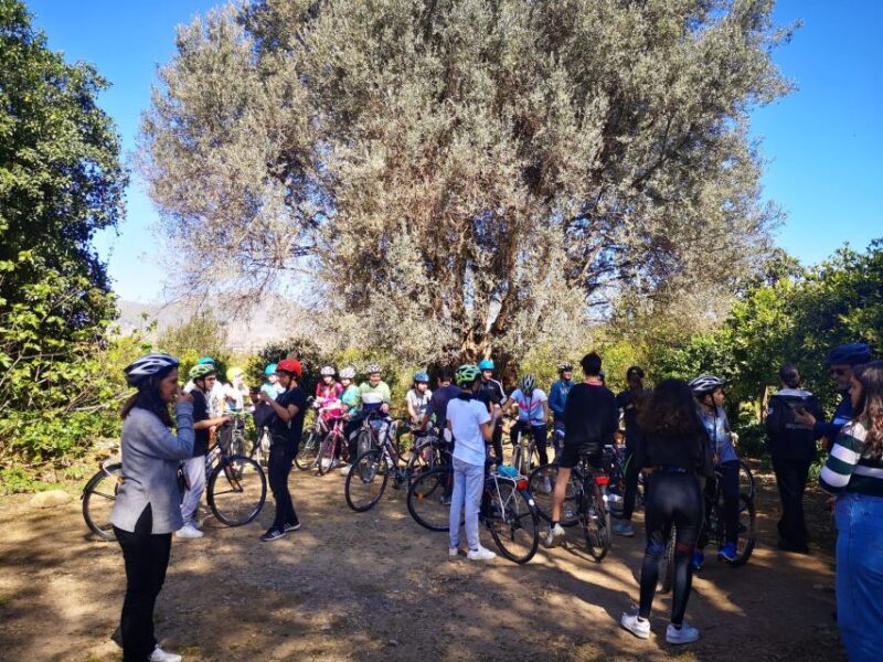A PRIVATE Ride of Favorita Park and Mondello - Key Points