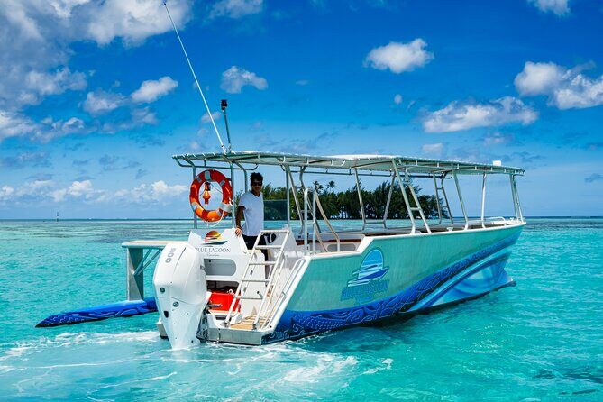 A private tour with Blue Lagoon - Key Points
