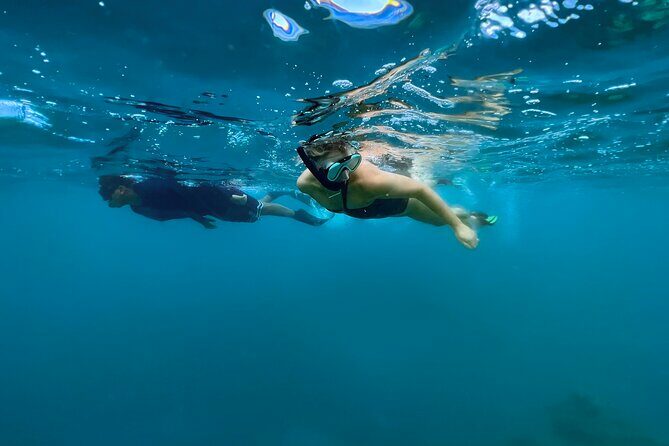 A Private TURTLE Tour on Rarotonga with Photography and Transfers - What Travelers Are Saying (Based on Reviews)