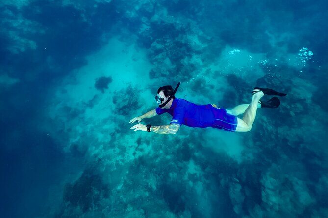 A Private TURTLE Tour on Rarotonga with Photography and Transfers - Final Thoughts: Who Is This Tour For?