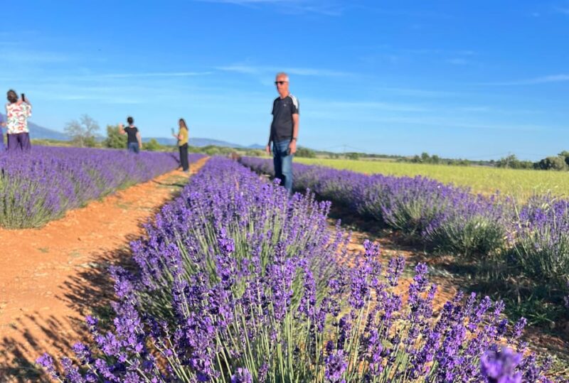 A Provençal Picnic at Sunset in the Lavender Fields - Wander Through the Picturesque Village of Valensole