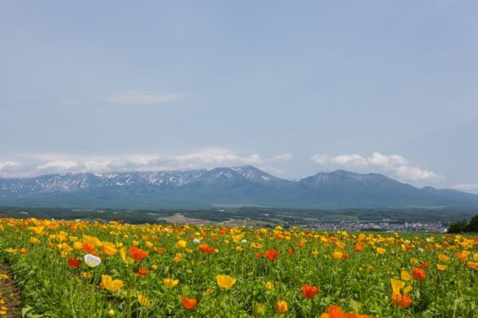 A Relaxing Day for Furano, Biei Blue Pond& Local Curry Lunch in Hokkaido! - Scenic Locations