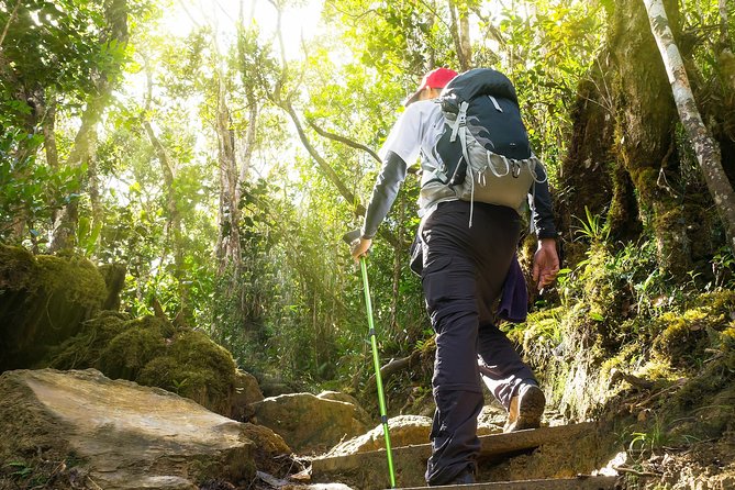 A Rendezvous With Nature - Templer Park and Kanching Waterfall Tour - Pickup Information